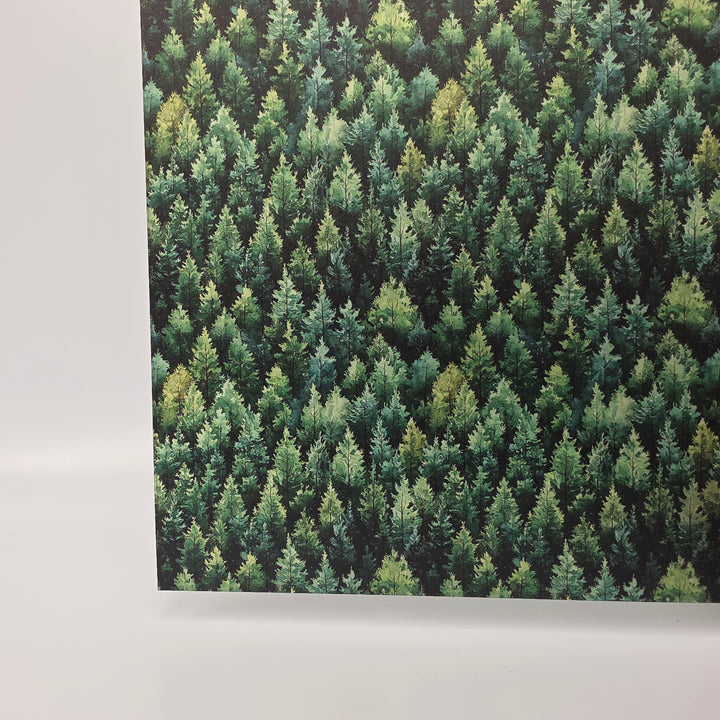 PatternPly® Transparent Dense Forest