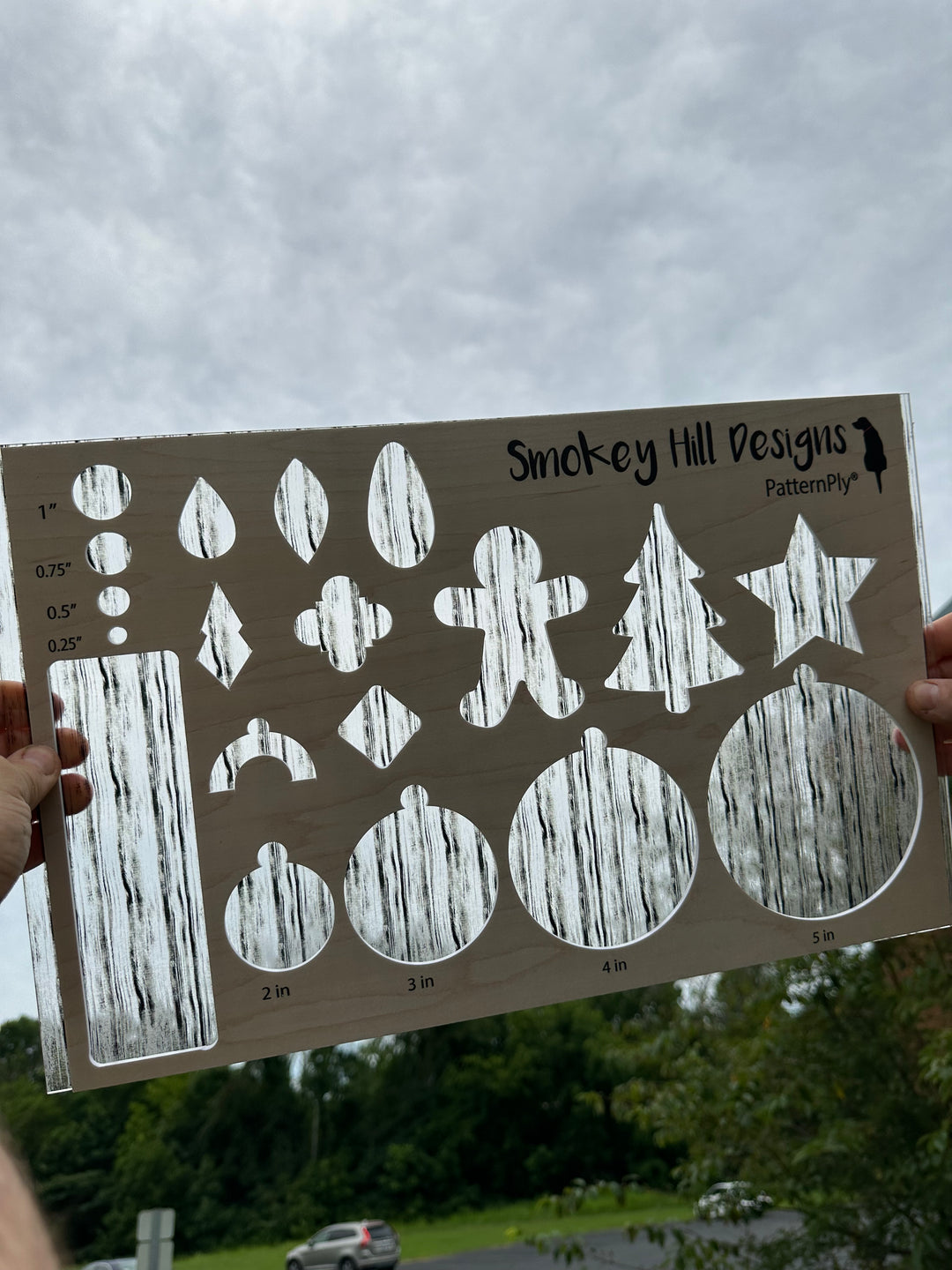 PatternPly® Transparent Whitewashed Streaks