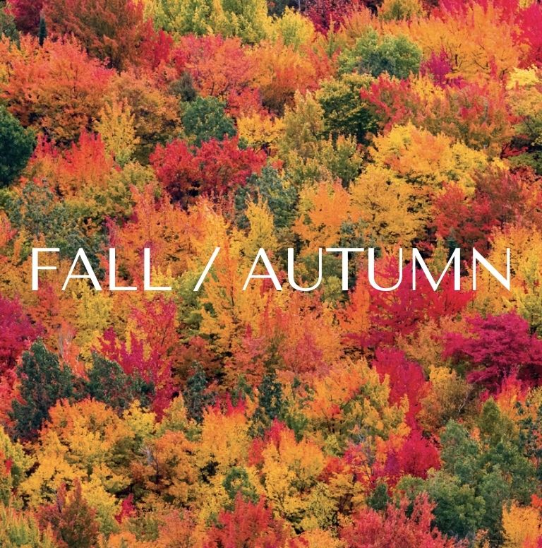 Fall / Autumn