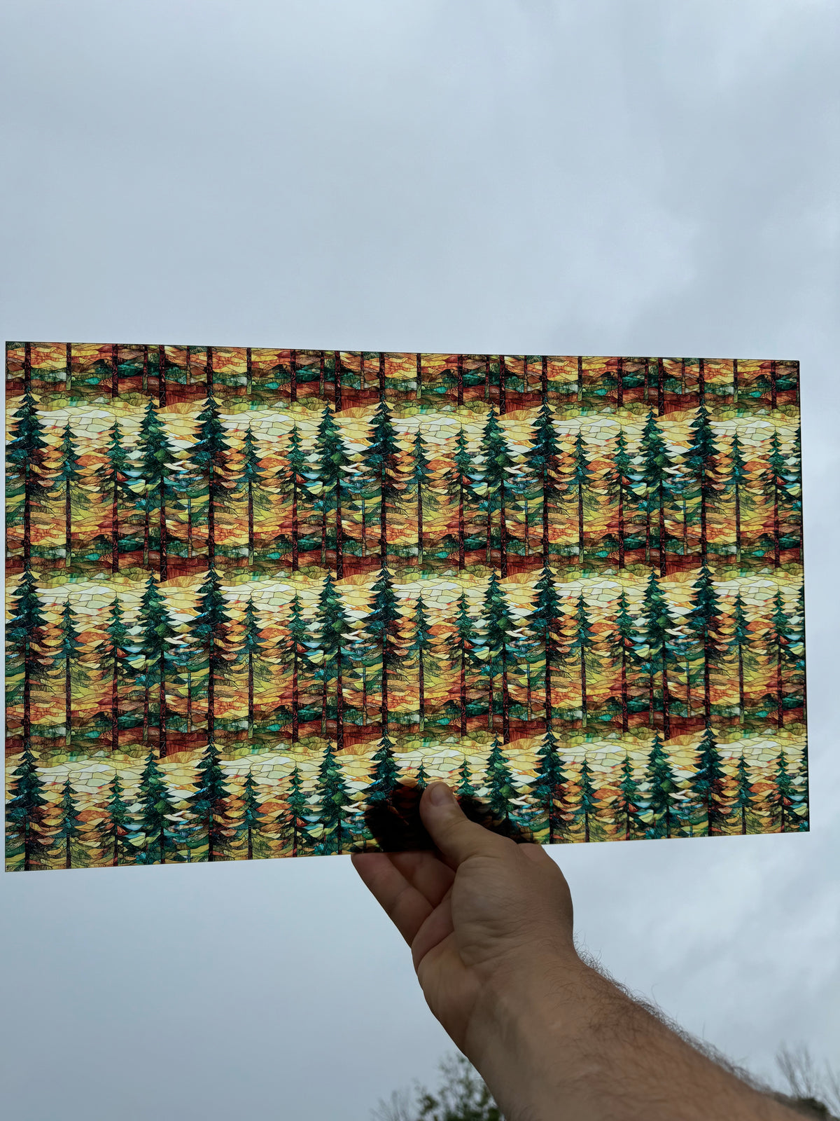 PatternPly® Transparent Stained Glass Tall Pines sheet showing the pattern