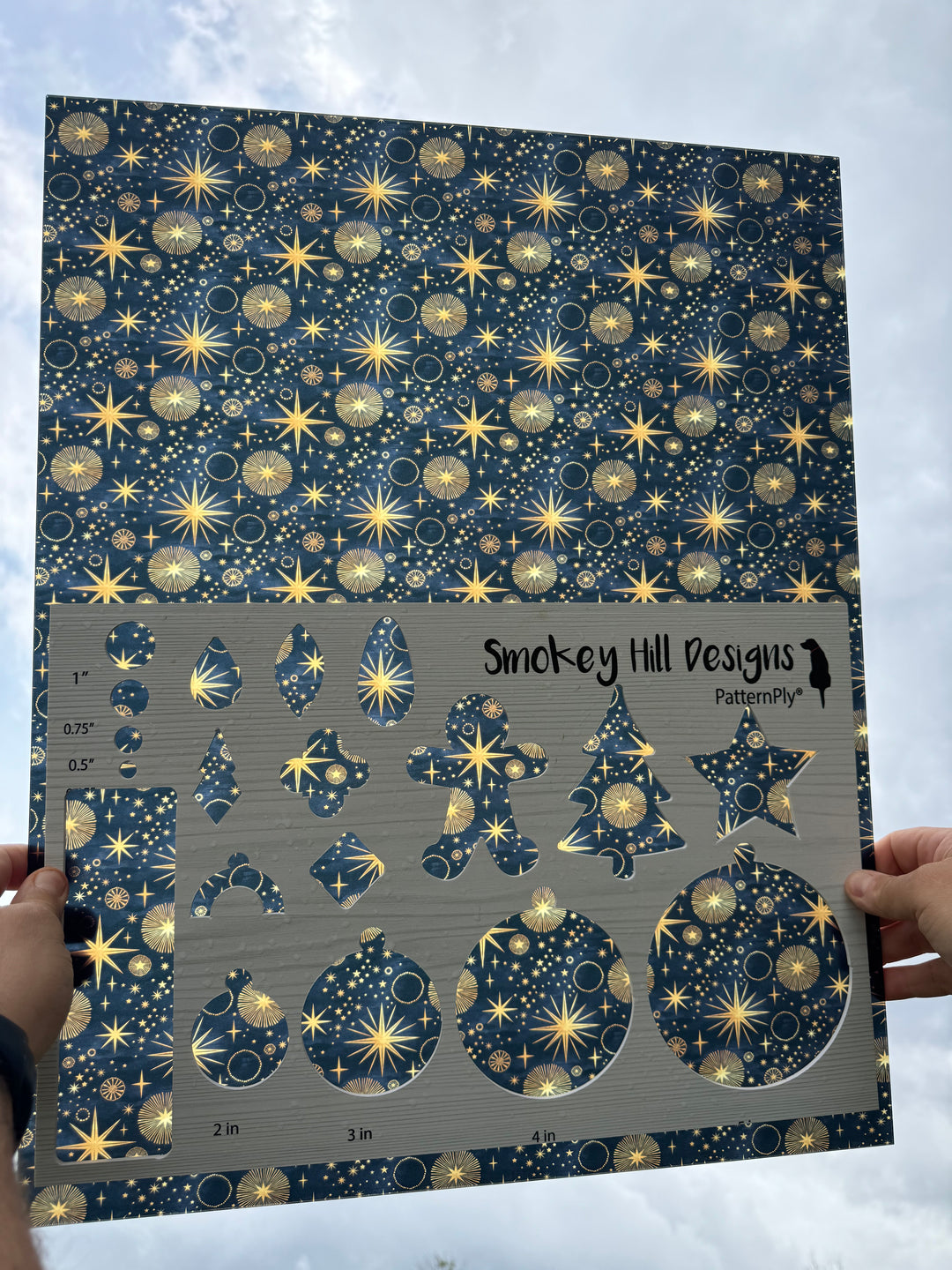 PatternPly® 19x24" Transparent Astrology Original Scale