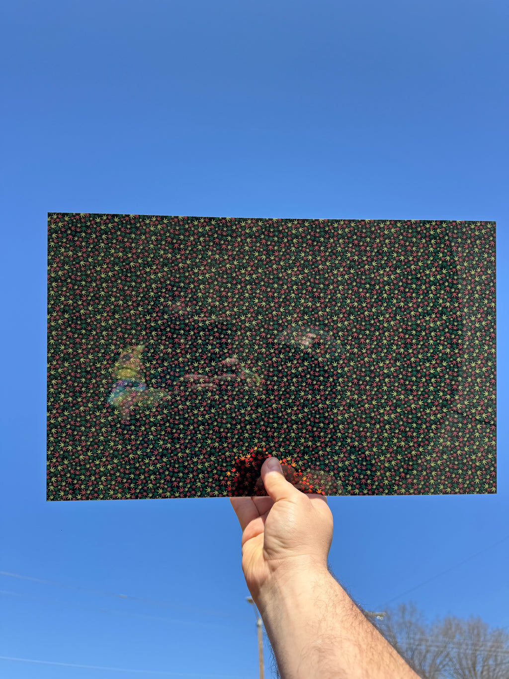 PatternPly® Transparent Micro Red, Yellow, Green Marijuana Leaves sheet showing the pattern
