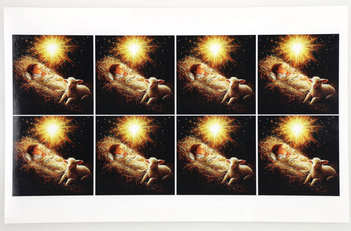 PatternPly® Full Coverage Light of Bethlehem Medium