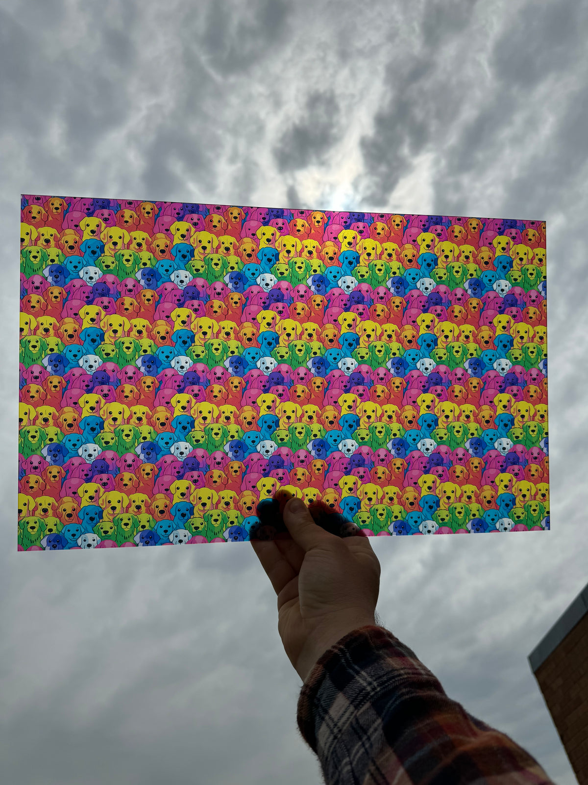PatternPly® Transparent Rainbow Dogs LARGE sheet showing the pattern