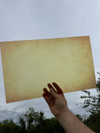 PatternPly® Transparent Parchment sheet showing the pattern