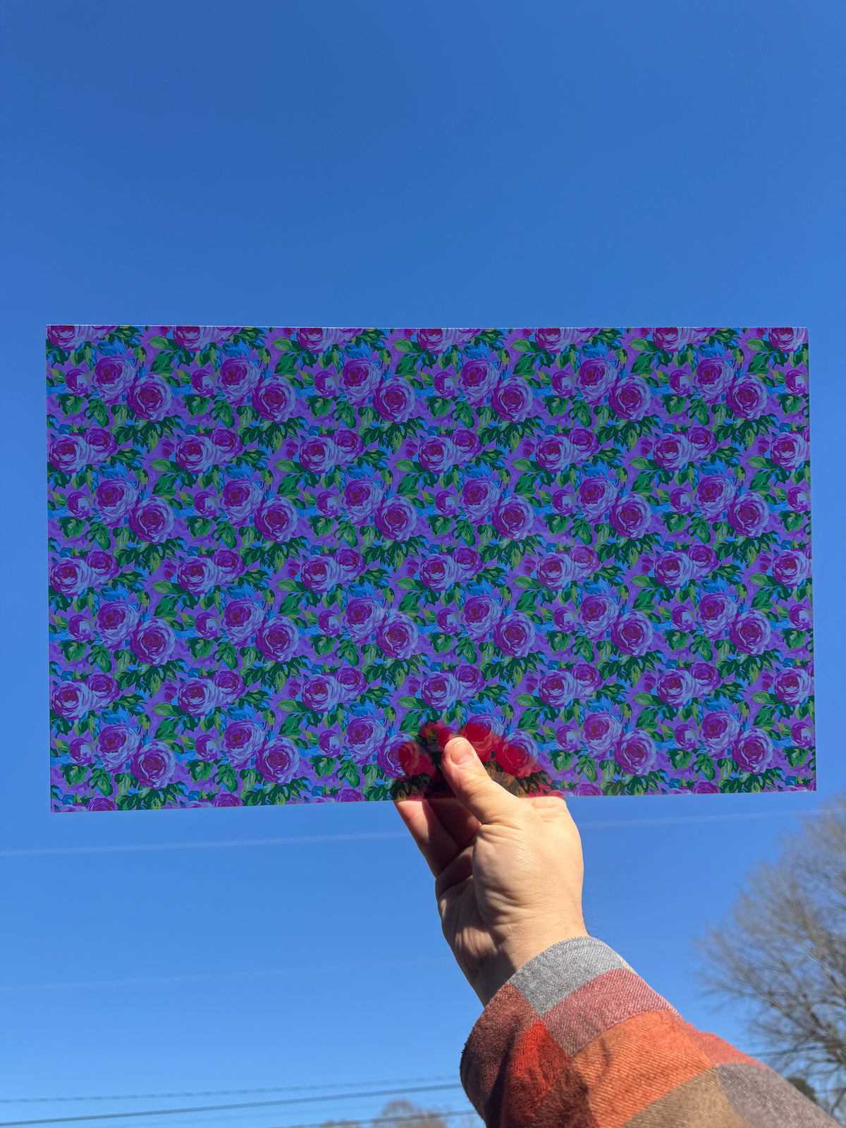 PatternPly® Transparent Pink Preppy Roses LARGE sheet showing the pattern
