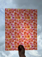 PatternPly® 19x24" Transparent Bright Orange and Pink Floral Original Scale sheet showing the pattern