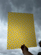PatternPly® 19x24" Transparent Bees XL Scale sheet showing the pattern