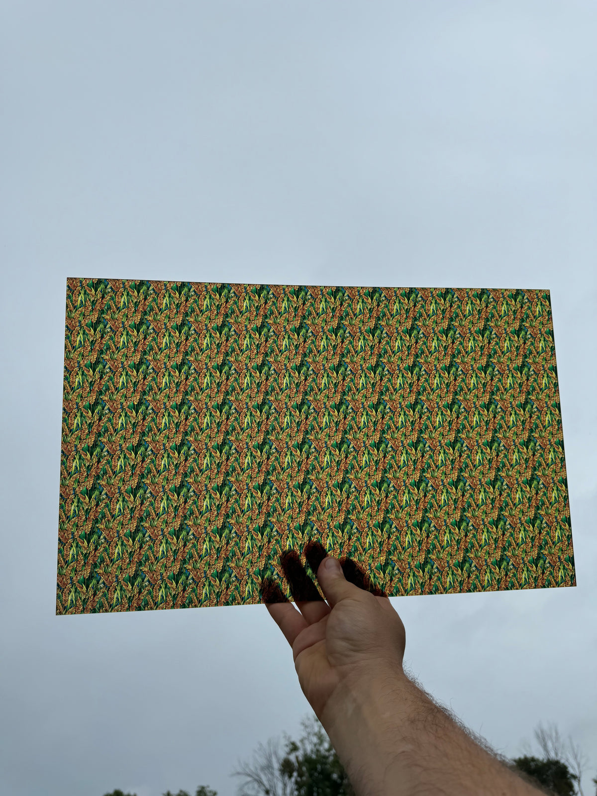 PatternPly® Transparent Micro Stained Glass Wheat sheet showing the pattern