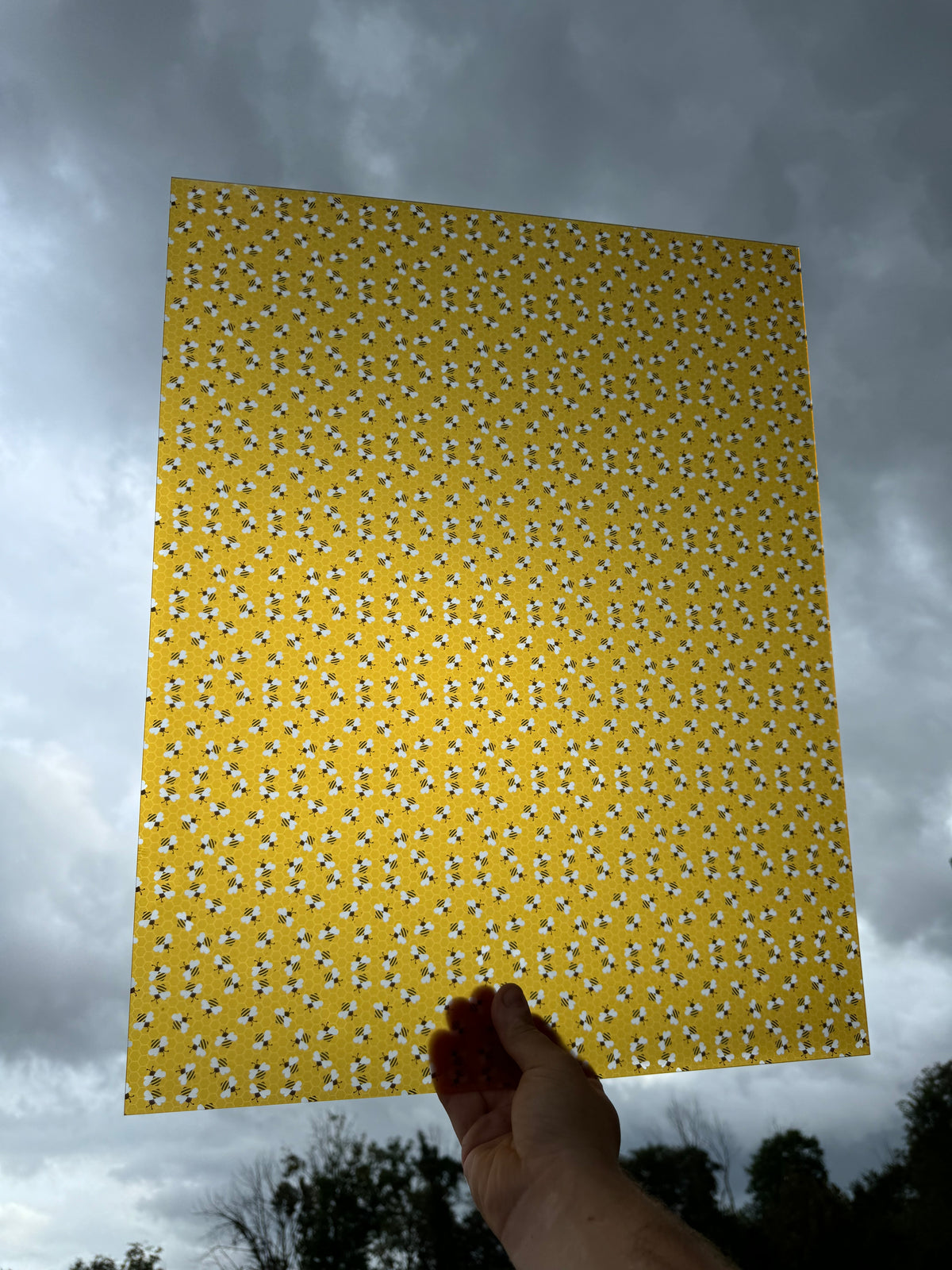 PatternPly® 19x24" Transparent Bees Original Scale sheet showing the pattern