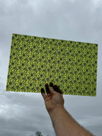 PatternPly® Transparent Green Stained Glass Spiderwebs sheet showing the pattern