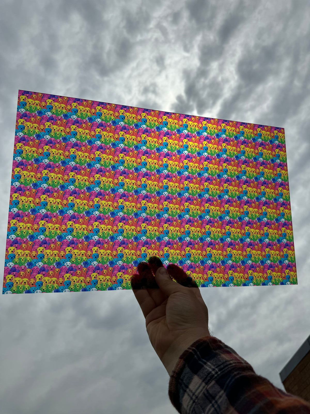 PatternPly® Transparent Micro Rainbow Dogs sheet showing the pattern