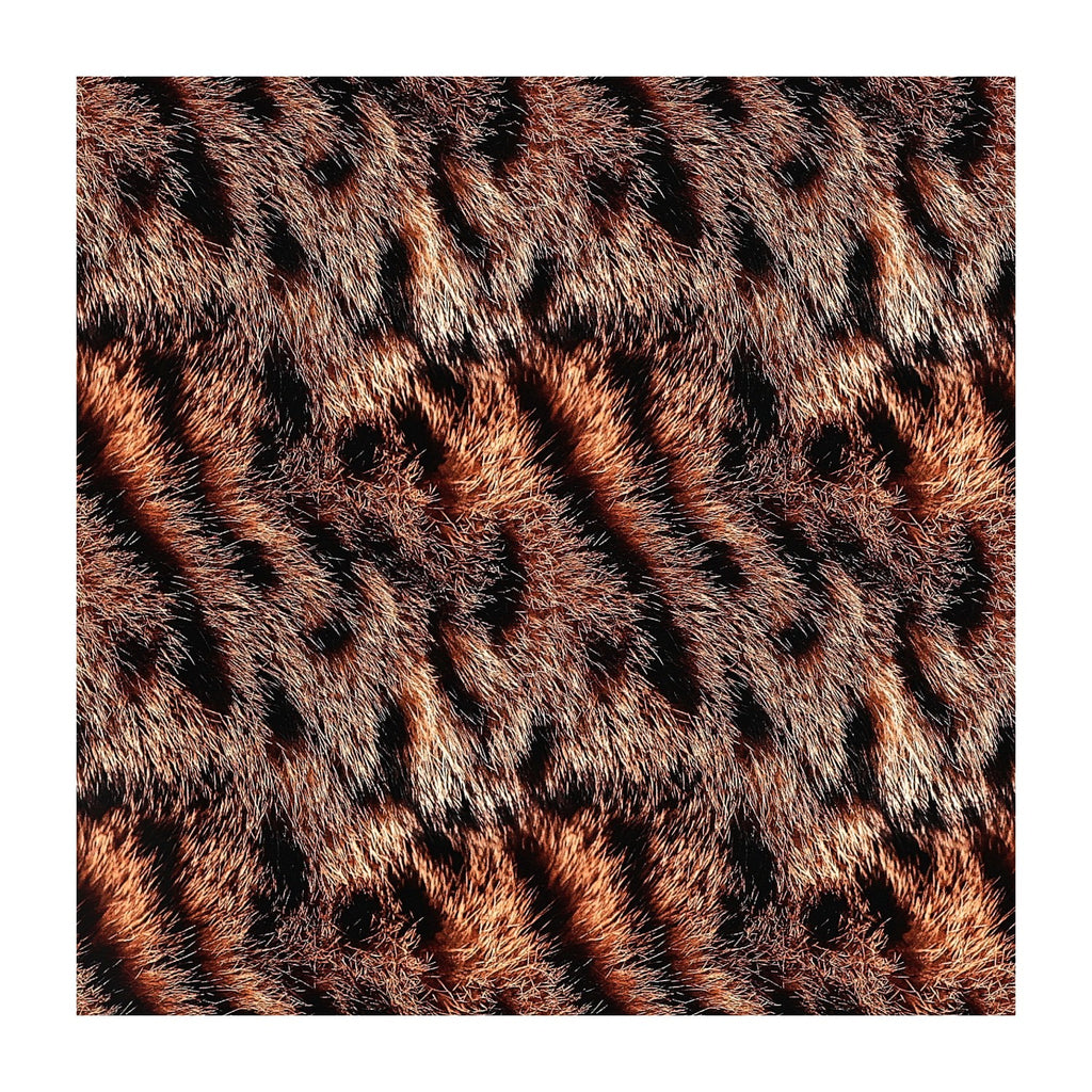 PatternPly® Transparent Tabby product photo 3