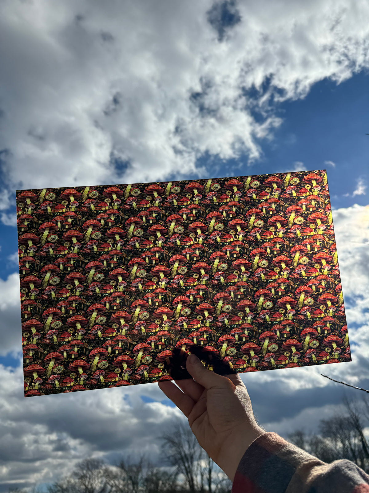 PatternPly® Transparent Stained Glass Mushrooms sheet showing the pattern