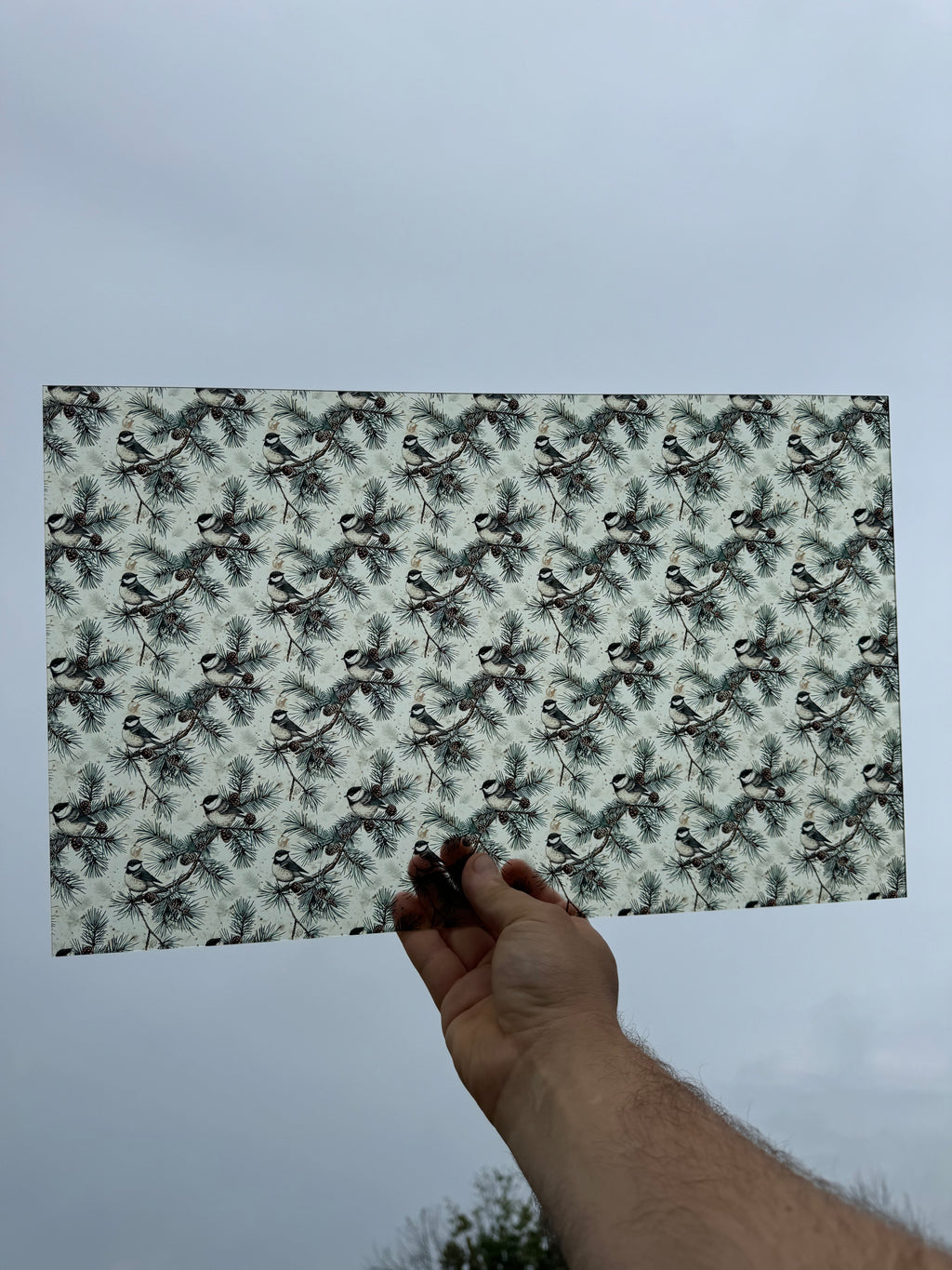 PatternPly® Transparent Pine Tree and Finches sheet showing the pattern