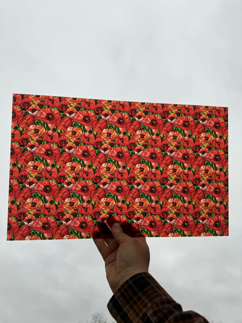 PatternPly® Transparent Stained Glass Poppies sheet showing the pattern