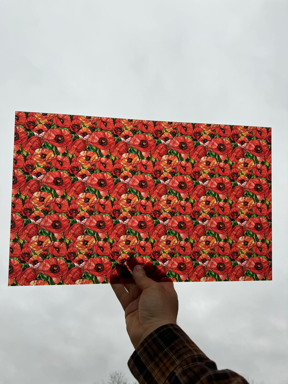 PatternPly® Transparent Stained Glass Poppies sheet showing the pattern