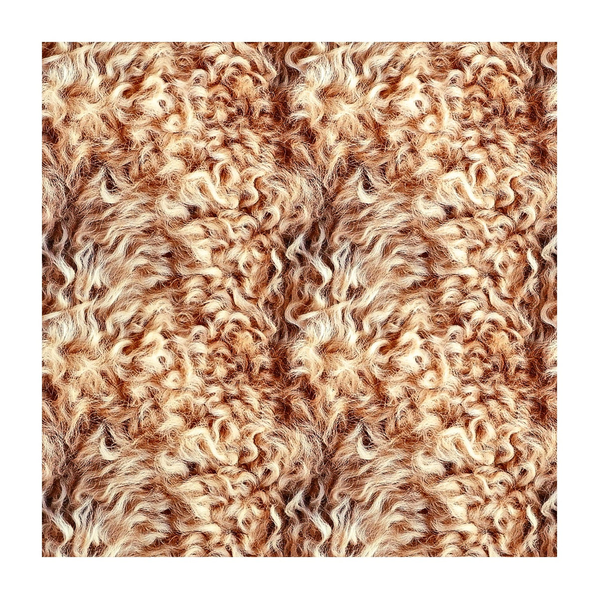 PatternPly® Transparent Golden Doodle product photo 3