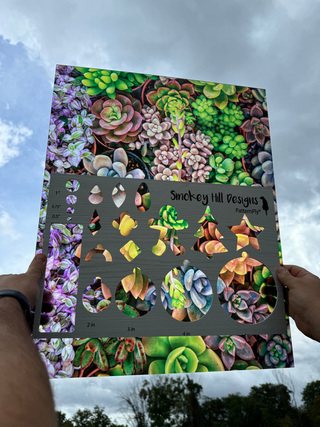 PatternPly® 19x24" Transparent Assorted Succulents XL Scale product photo 2