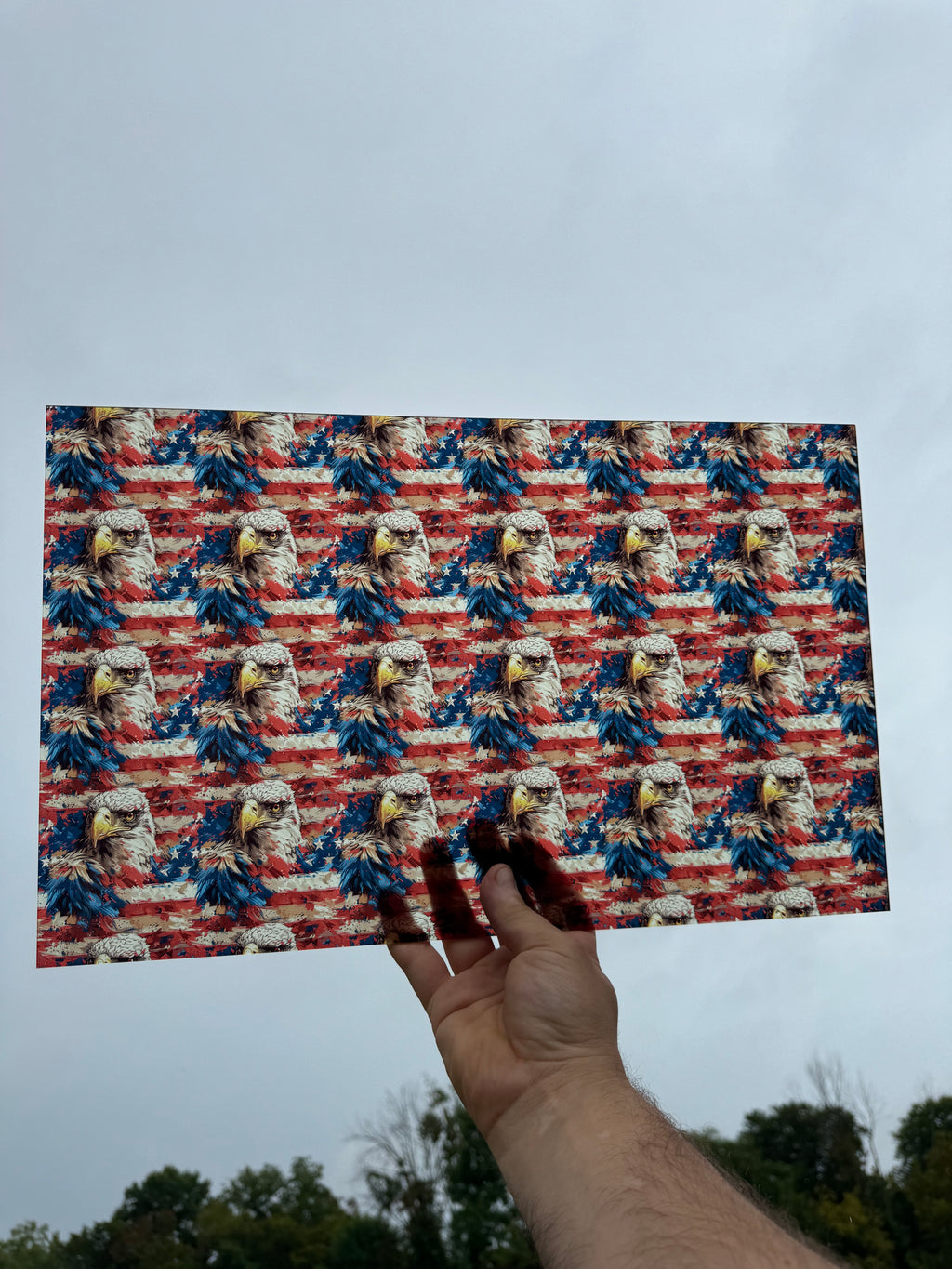 PatternPly® Transparent American Flag Eagle Large sheet showing the pattern
