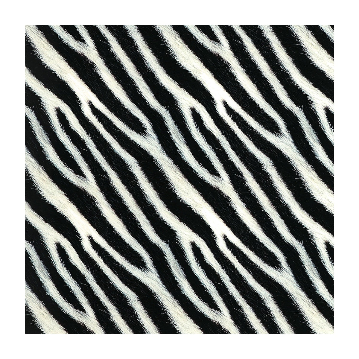 PatternPly® Transparent Realistic Zebra product photo 3
