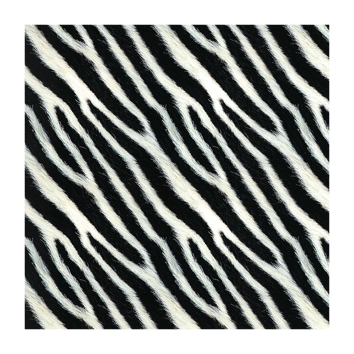 PatternPly® Transparent Realistic Zebra
