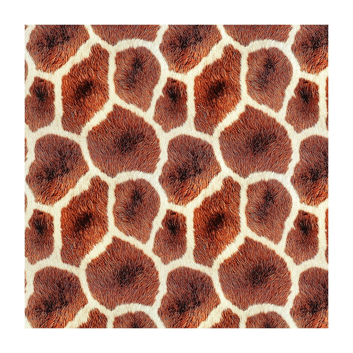 PatternPly® Transparent Realistic Giraffe product photo 3
