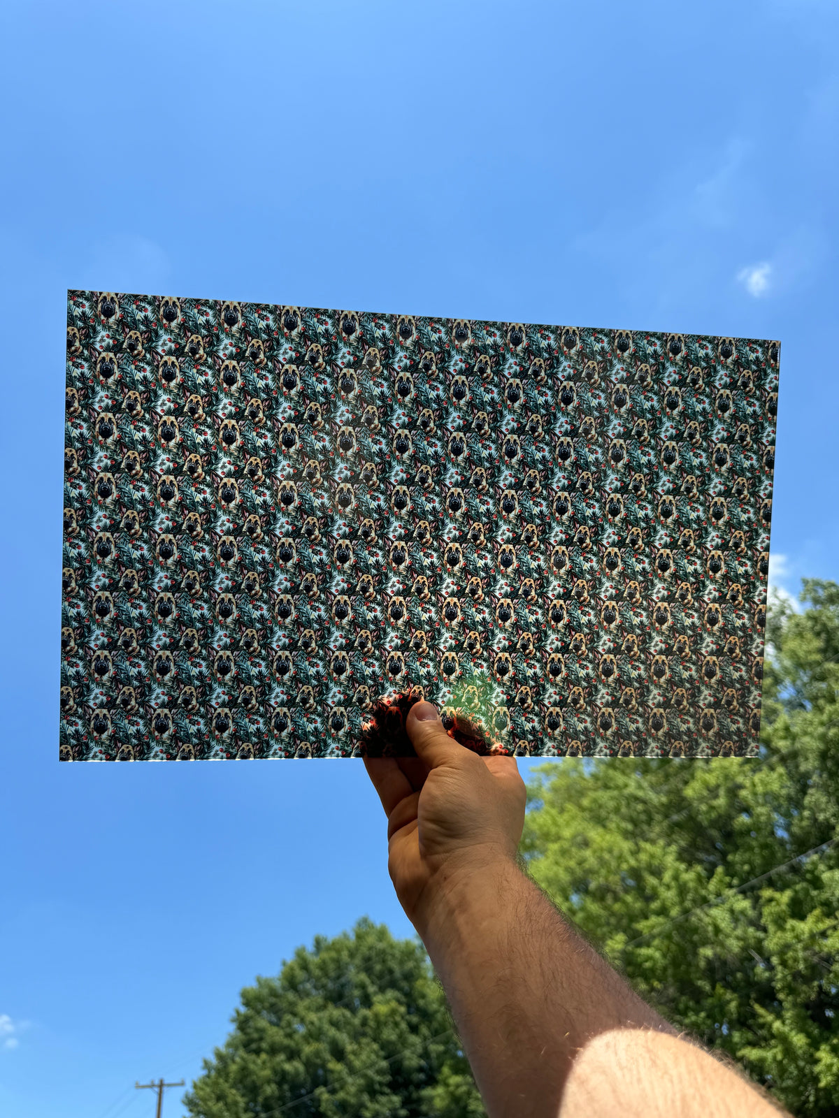 PatternPly® Transparent Micro Christmas German Shepherds sheet showing the pattern