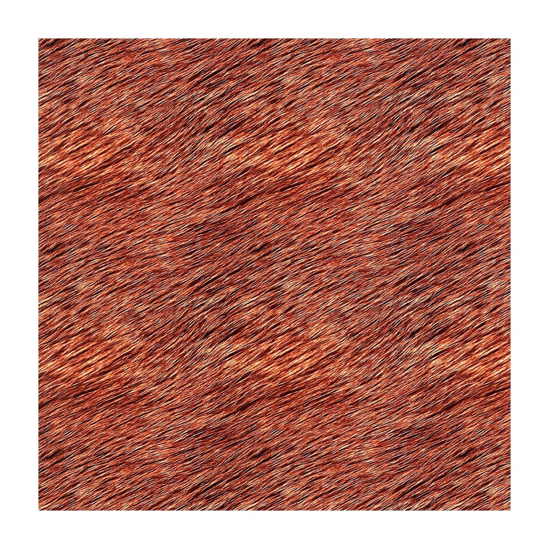 PatternPly® Transparent Realistic Horse