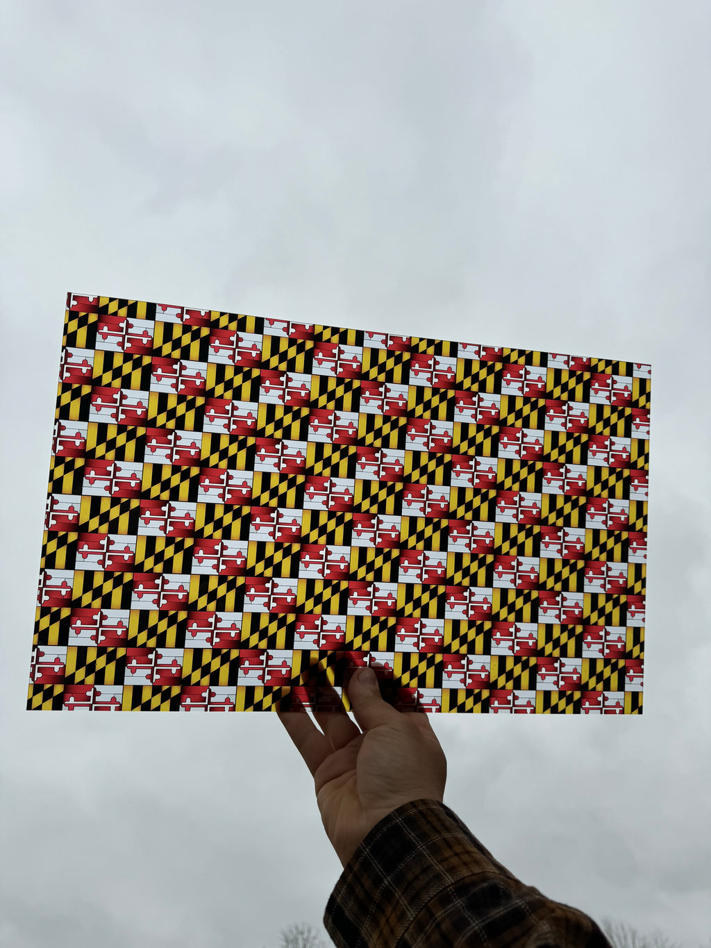 PatternPly® Transparent Maryland Flag Stained Glass sheet showing the pattern