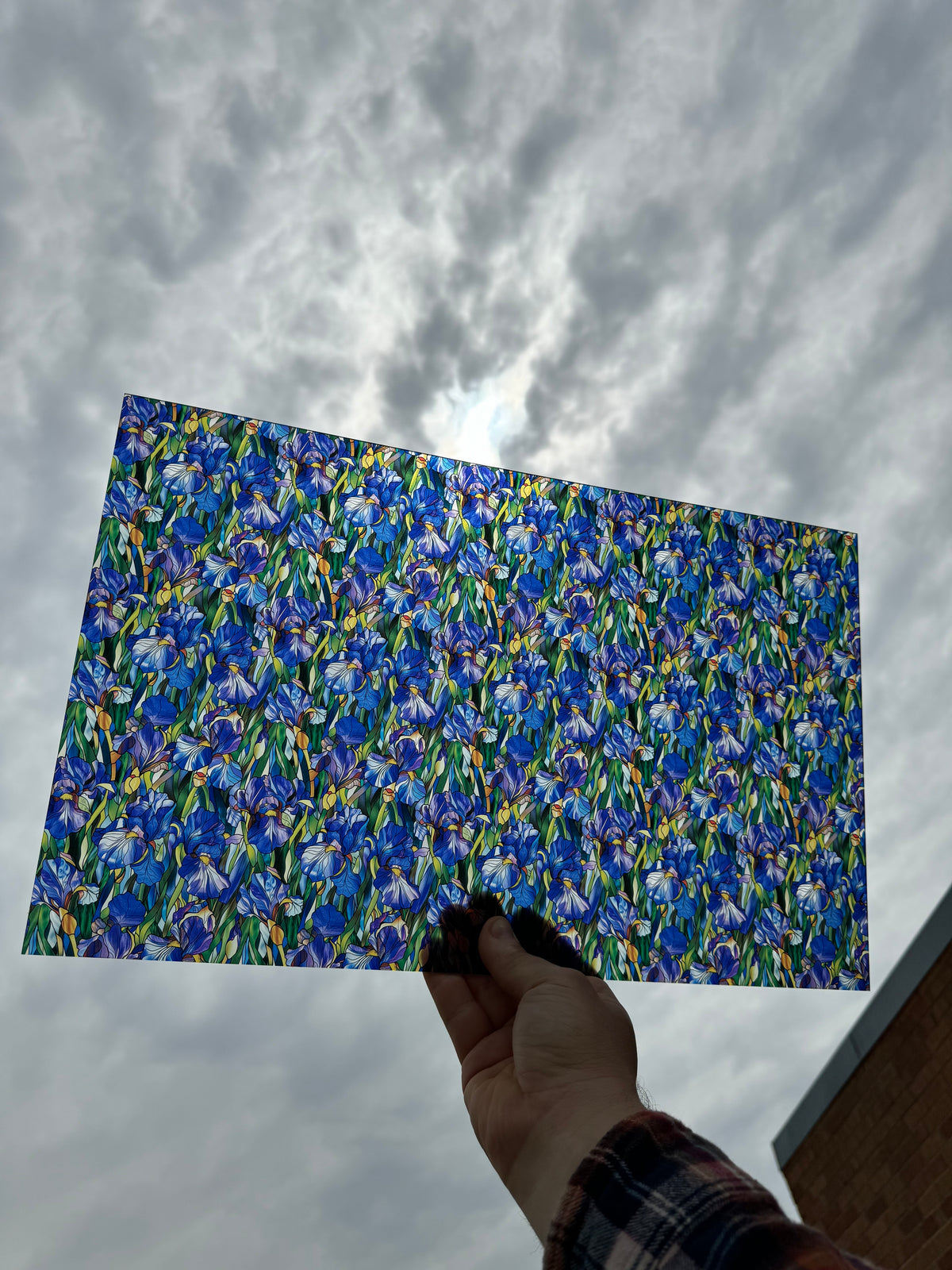 PatternPly® Transparent Stained Glass Irises sheet showing the pattern