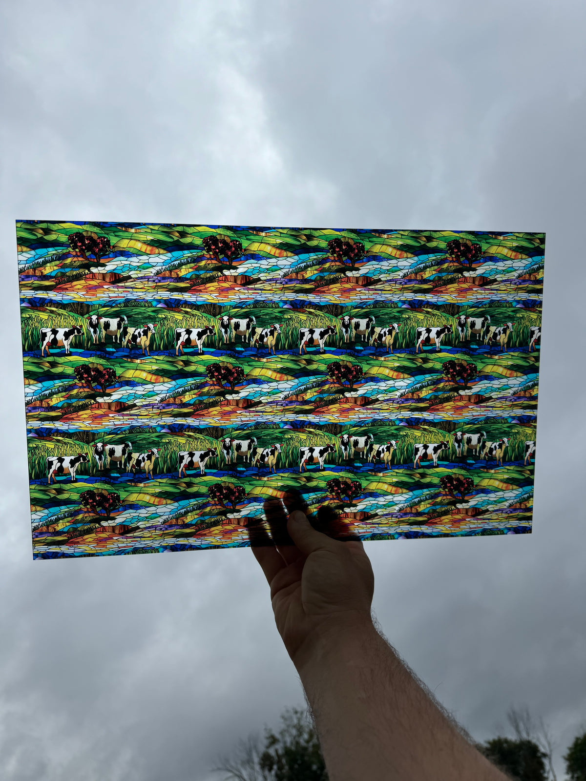 PatternPly® Transparent Stained Glass Dairy Cows sheet showing the pattern