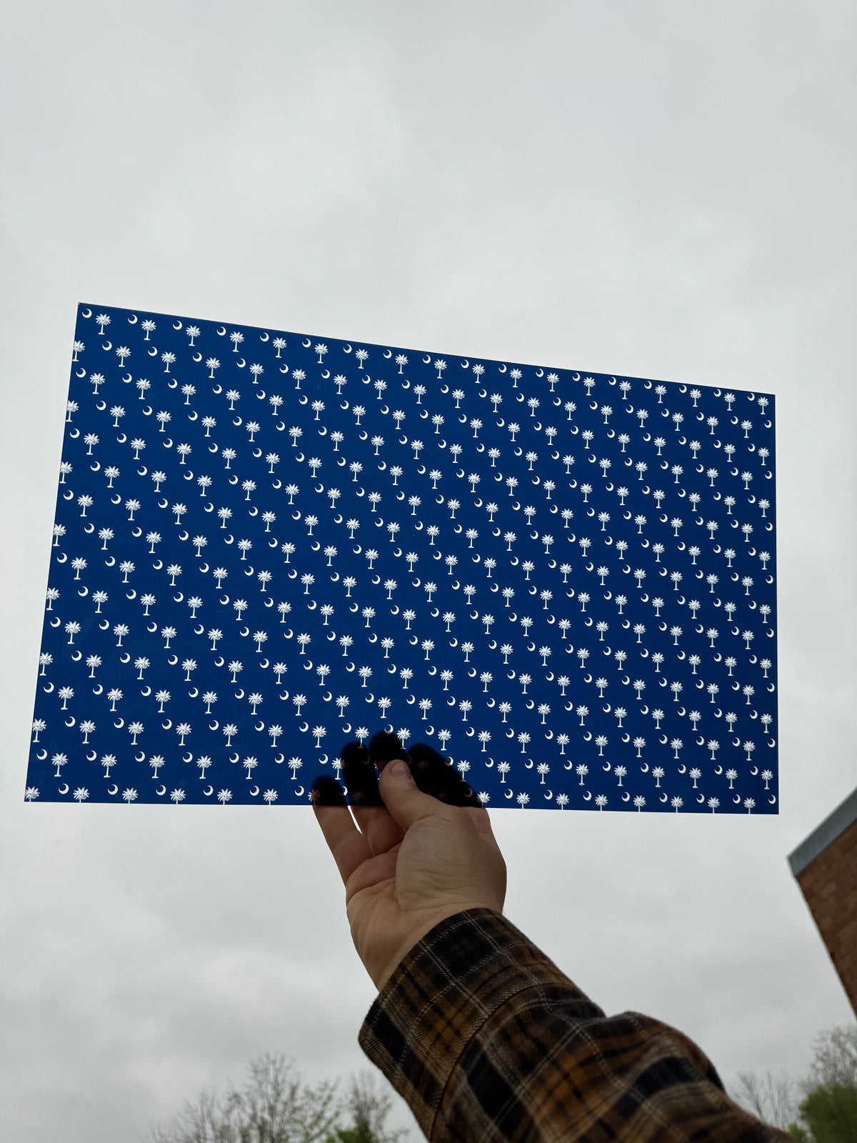 PatternPly® Transparent South Carolina Flag sheet showing the pattern