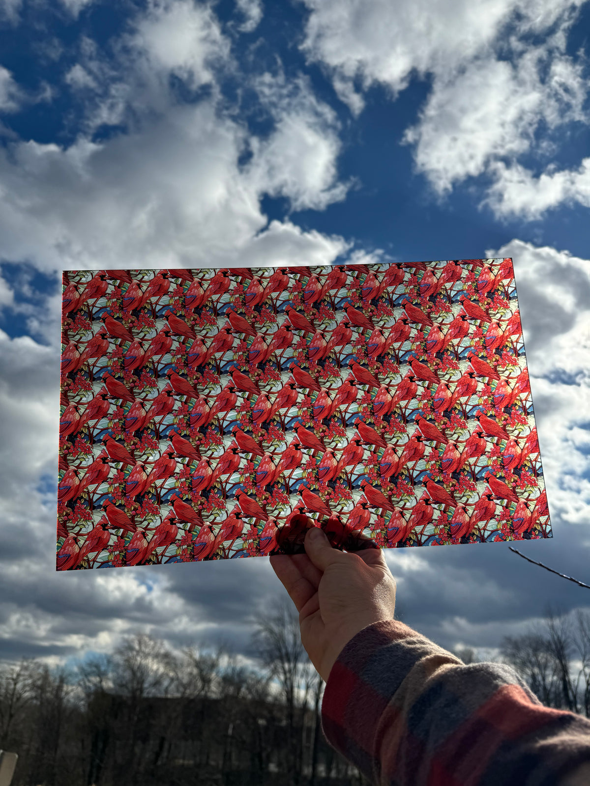 PatternPly® Transparent Stained Glass Cardinals sheet showing the pattern