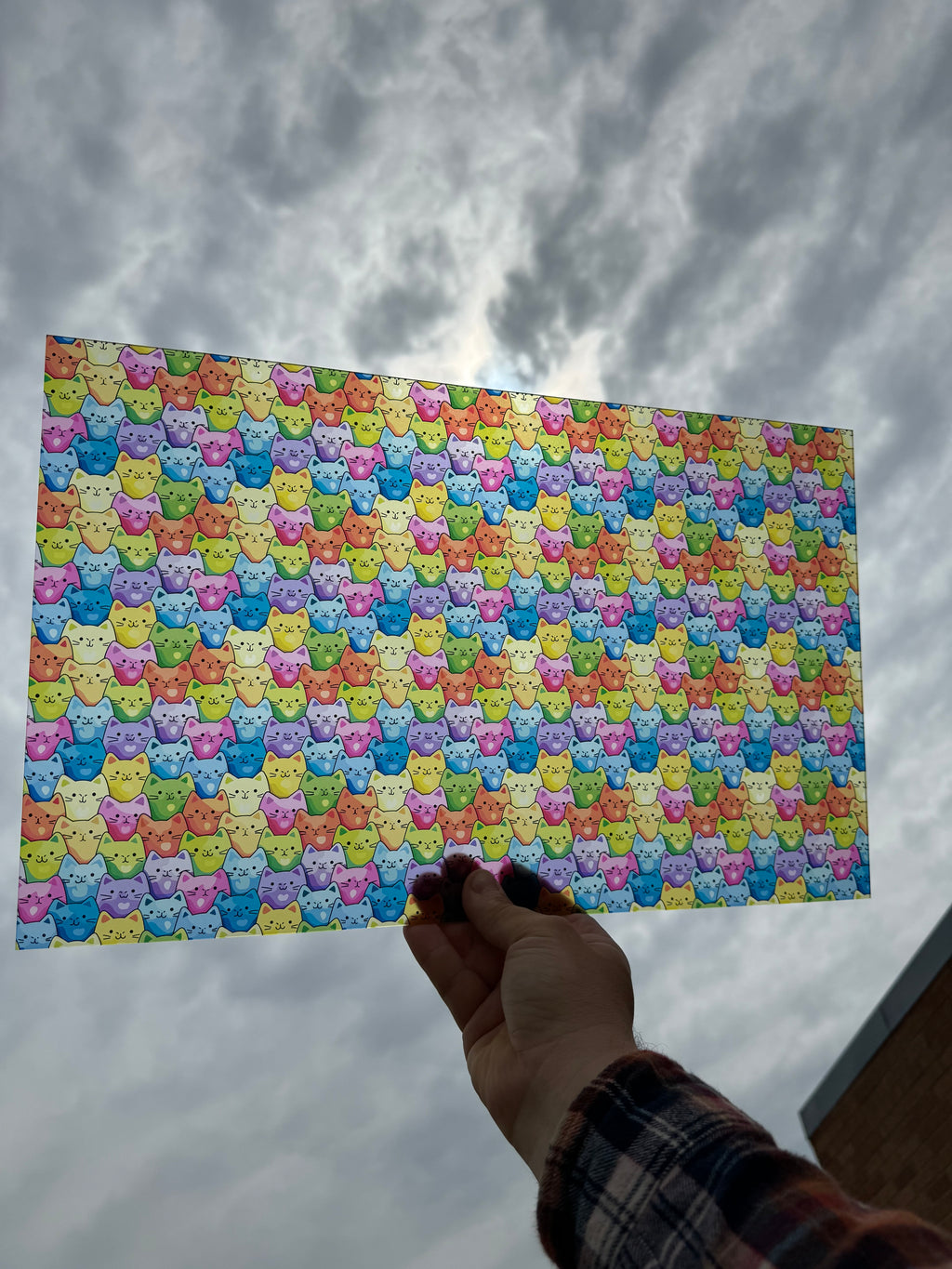 PatternPly® Transparent Rainbow Cats LARGE sheet showing the pattern