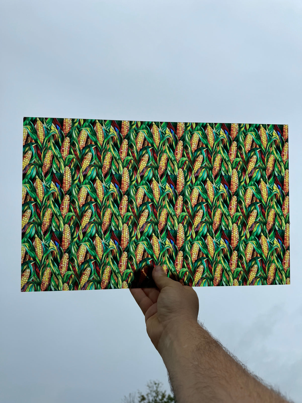 PatternPly® Transparent Stained Glass Corn sheet showing the pattern