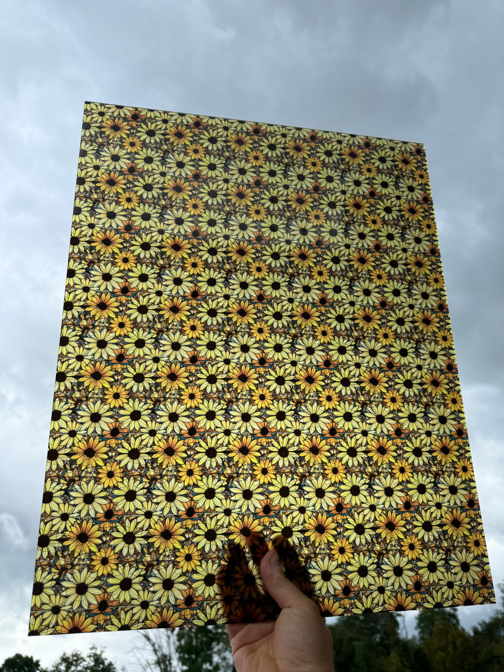 PatternPly® 19x24" Transparent Black Eyed Susan Stained Glass Original Scale sheet showing the pattern