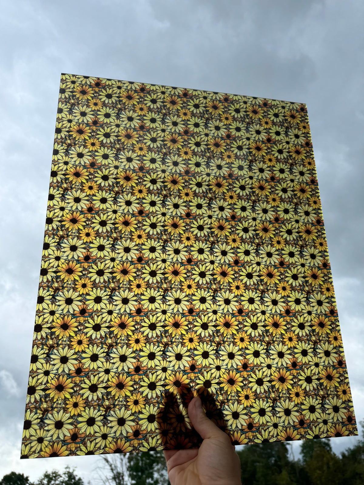 PatternPly® 19x24" Transparent Black Eyed Susan Stained Glass Original Scale sheet showing the pattern