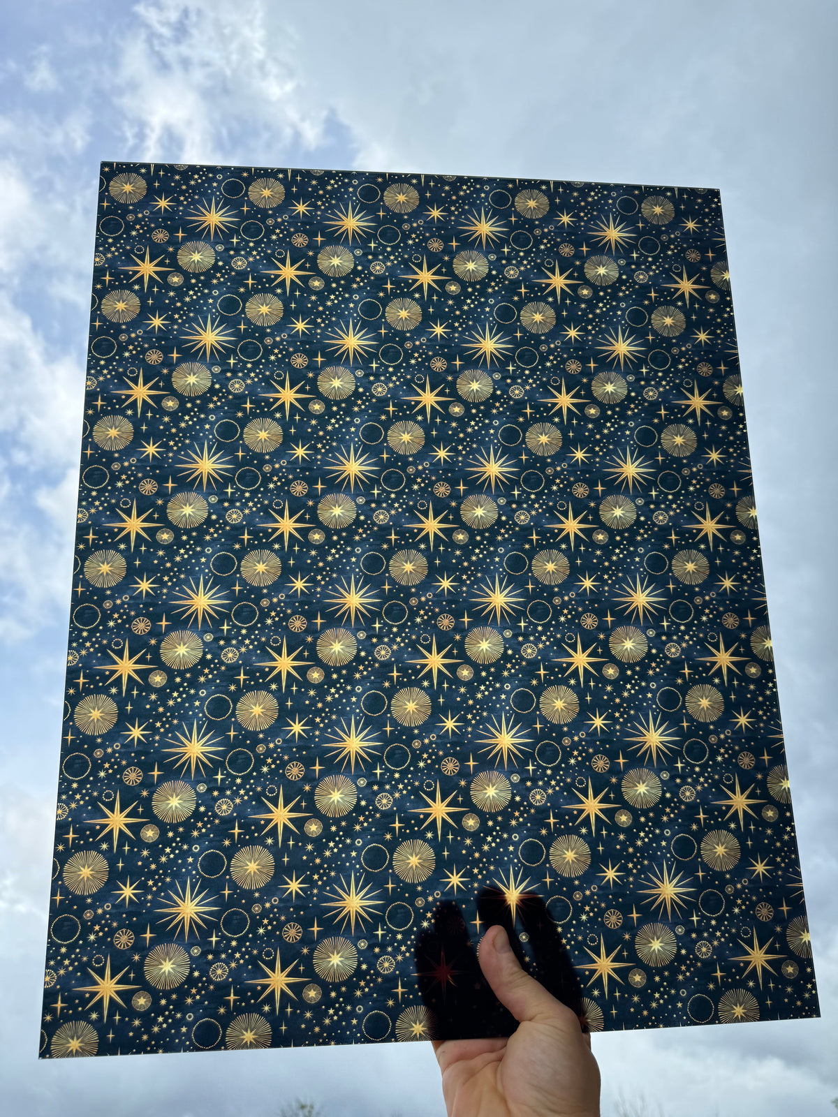PatternPly® 19x24" Transparent Astrology Original Scale sheet showing the pattern