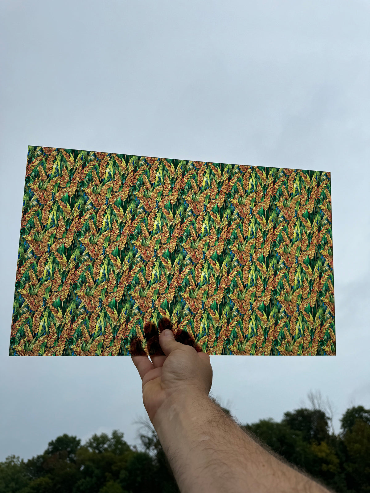 PatternPly® Transparent Stained Glass Wheat sheet showing the pattern