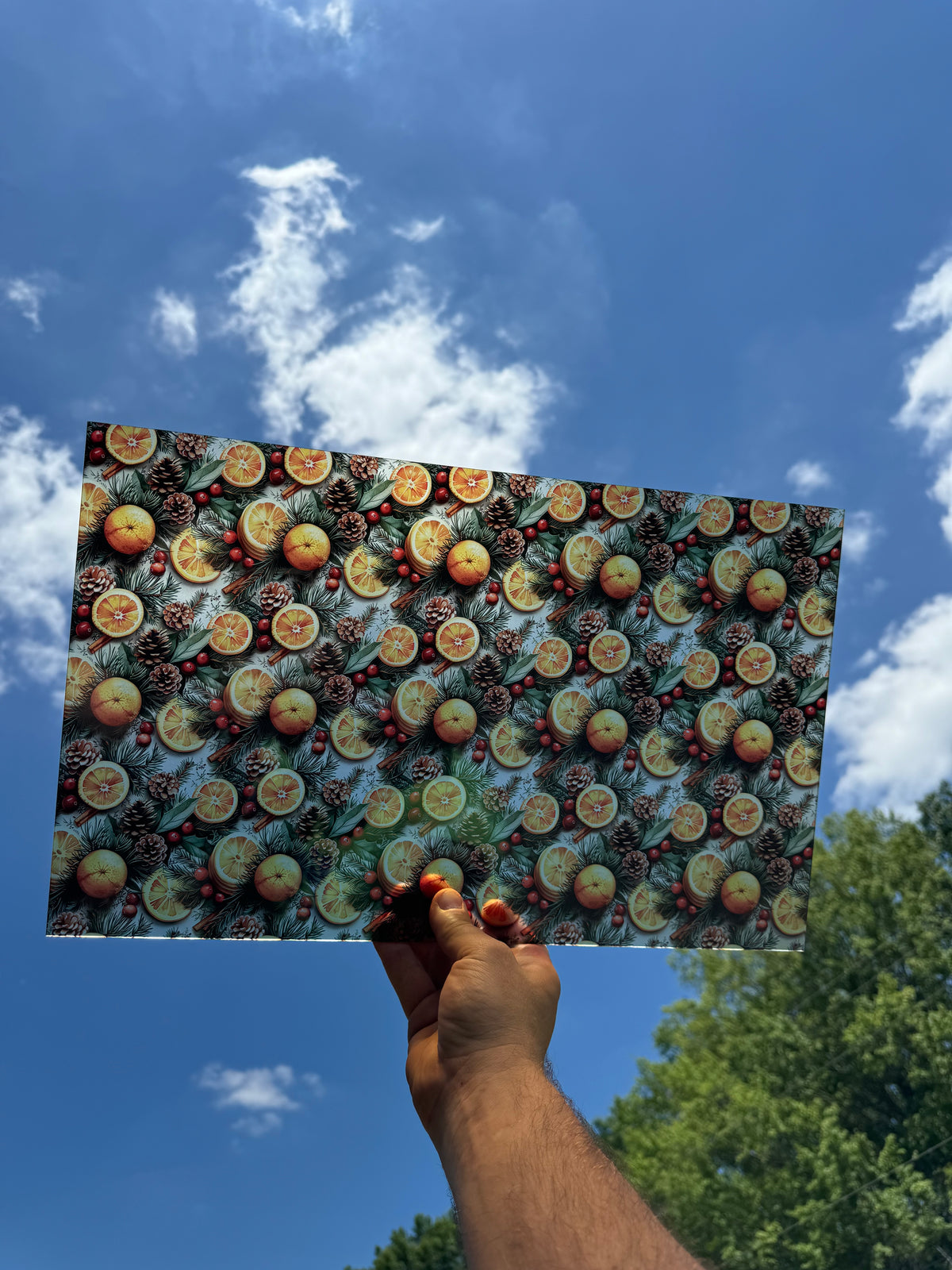 PatternPly® Transparent Christmas Oranges and Pinecones sheet showing the pattern