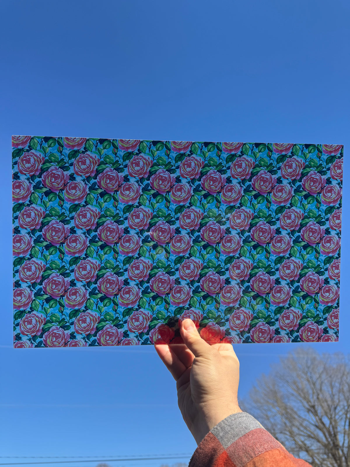 PatternPly® Transparent Farmhouse Roses LARGE sheet showing the pattern