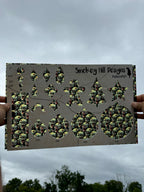 PatternPly® Transparent Zombies product photo 2