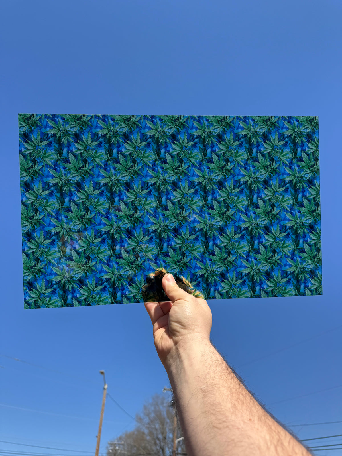 PatternPly® Transparent Watercolor Marijuana Leaves sheet showing the pattern