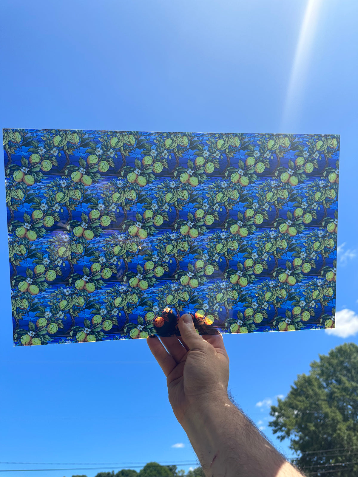 PatternPly® Transparent Stained Glass Lemons and Flowers sheet showing the pattern