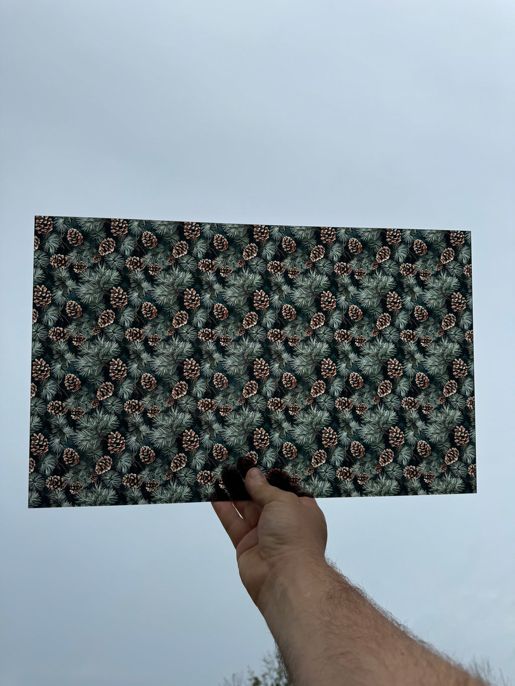 PatternPly® Transparent Pine Needles and Pinecones sheet showing the pattern