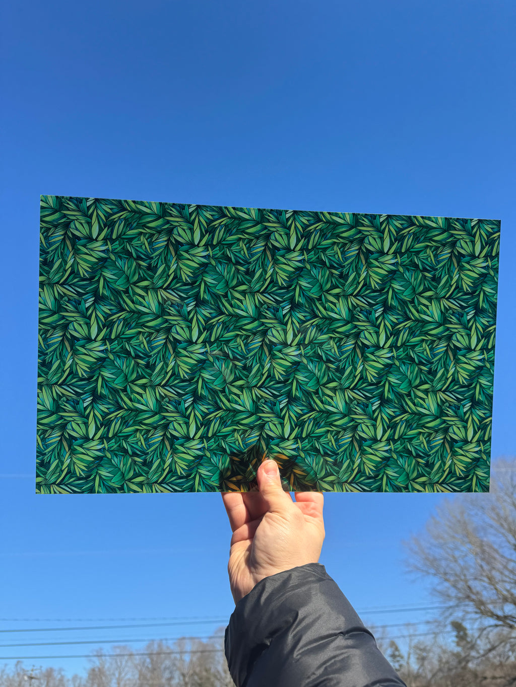PatternPly® Transparent Stained Glass Palms sheet showing the pattern