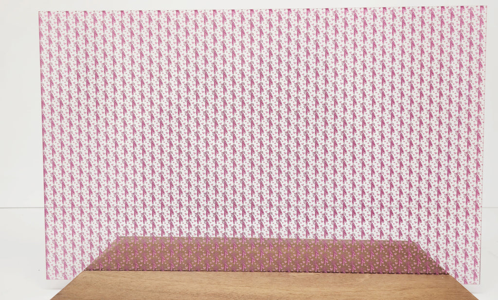 PatternPly® Scattered Ballet Pointe Shoes product photo 2