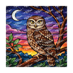 PatternPly® Transparent Birds Series Volume 2 Perched Owls 12 art scene artwork