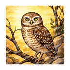 PatternPly® Transparent Birds Series Volume 2 Perched Owls 21 art scene artwork